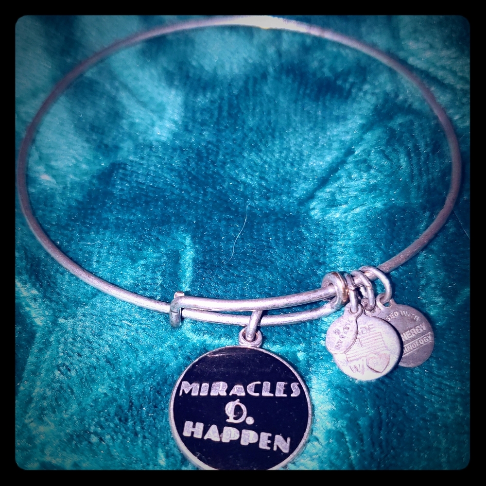 Alex & Ani Charm Bracelet